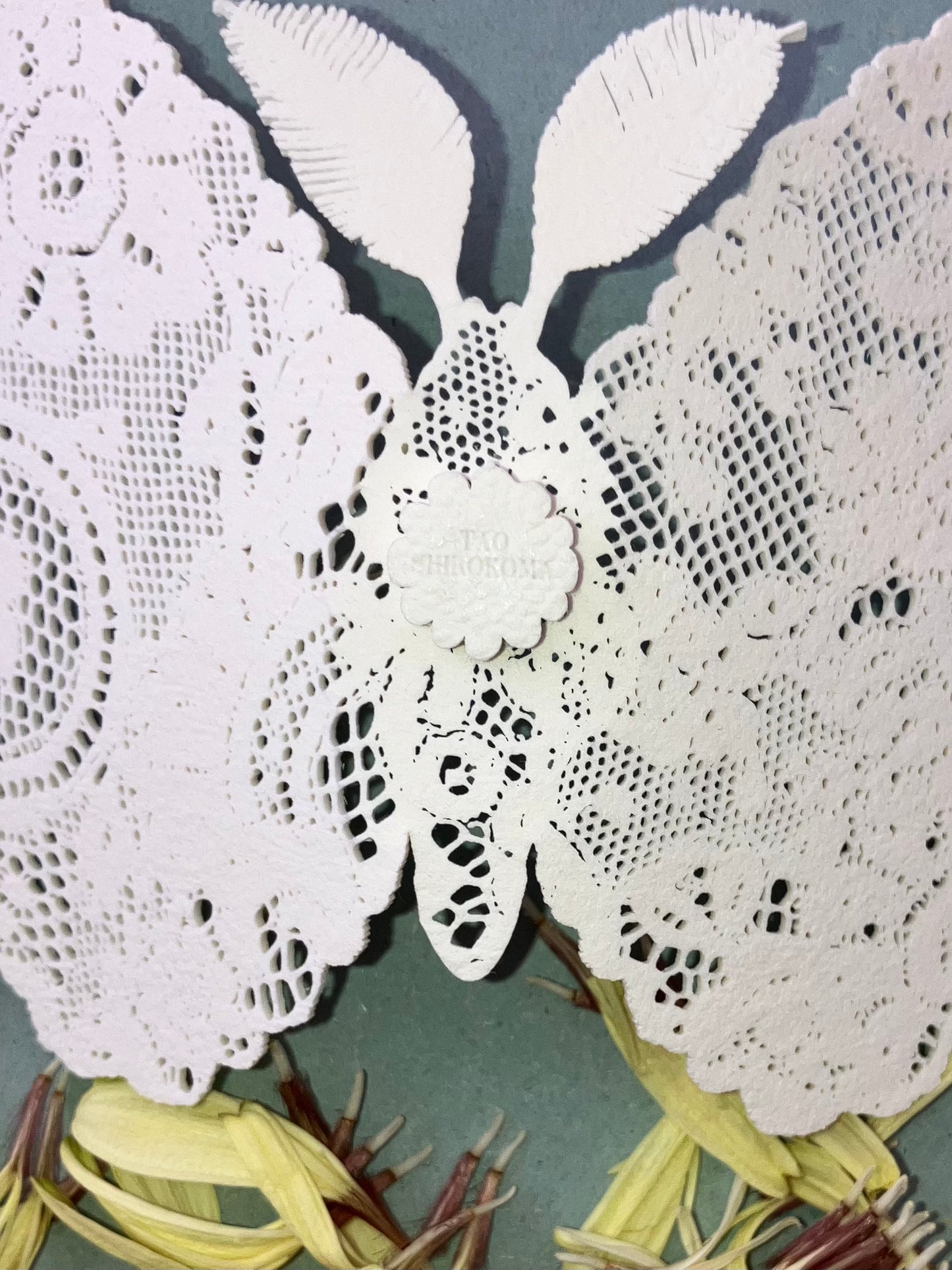 Tao Shirokoma - magnet -papillon de nuit 2