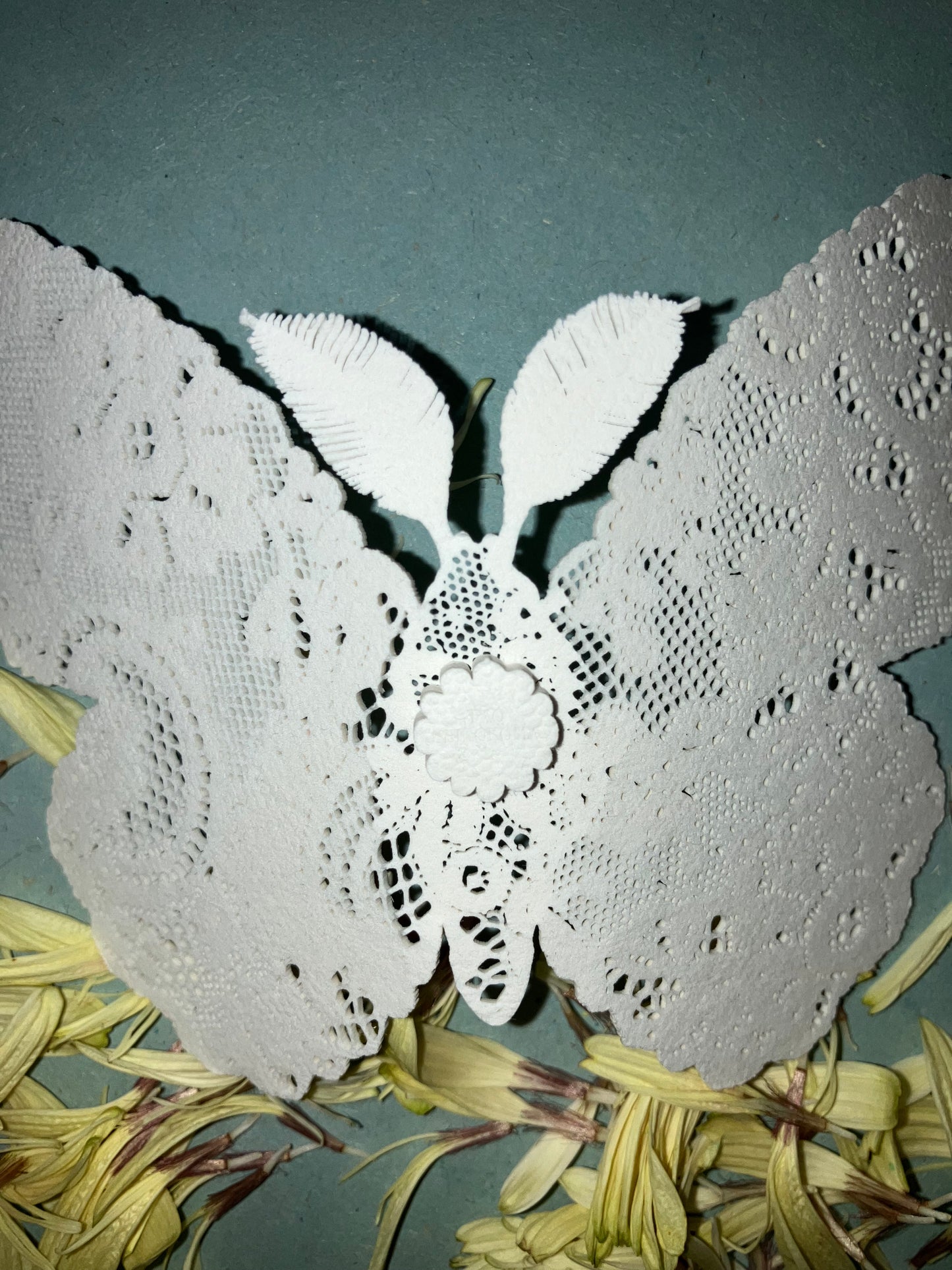 Tao Shirokoma - magnet -papillon de nuit 2
