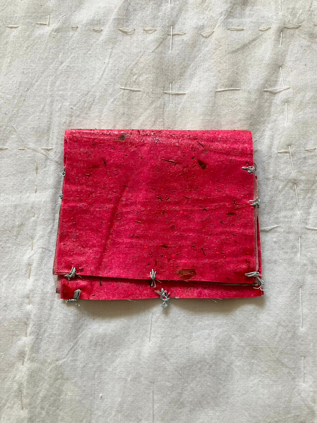 EIRINN HAYHOW - BIOMATERIAL WALLET 2