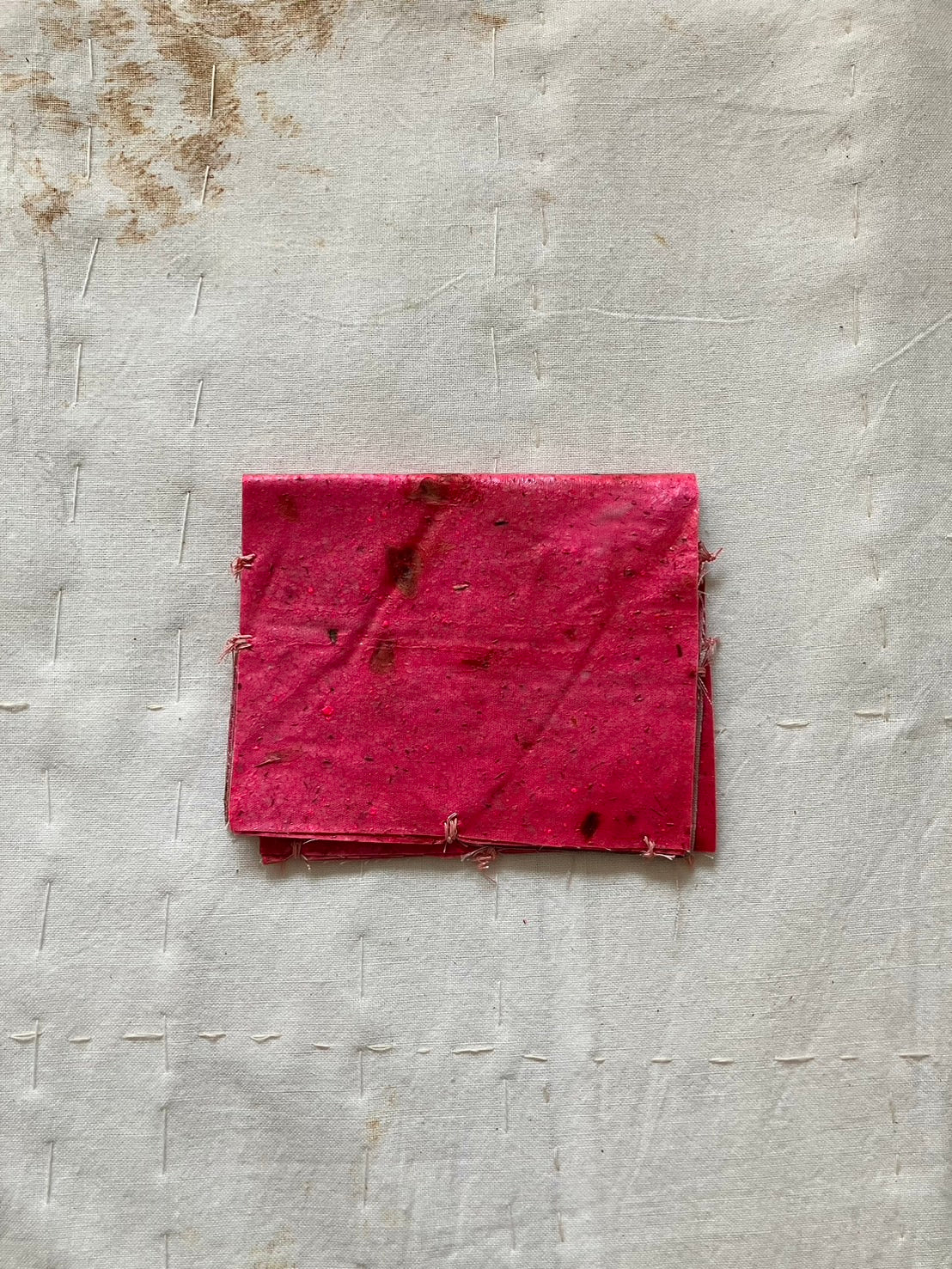 EIRINN HAYHOW - BIOMATERIAL WALLET 4