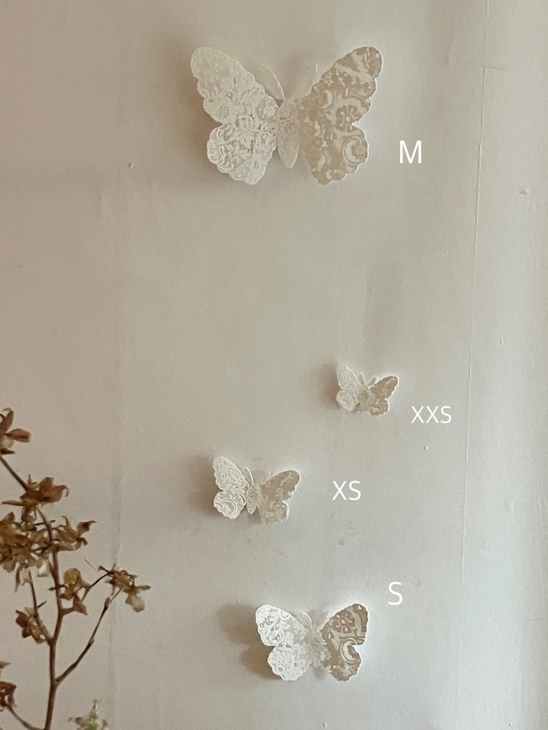 Tao Shirokoma - magnet -papillon de nuit 2