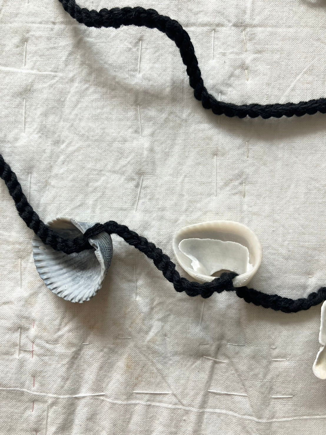 everyone's mother - conch belt 2