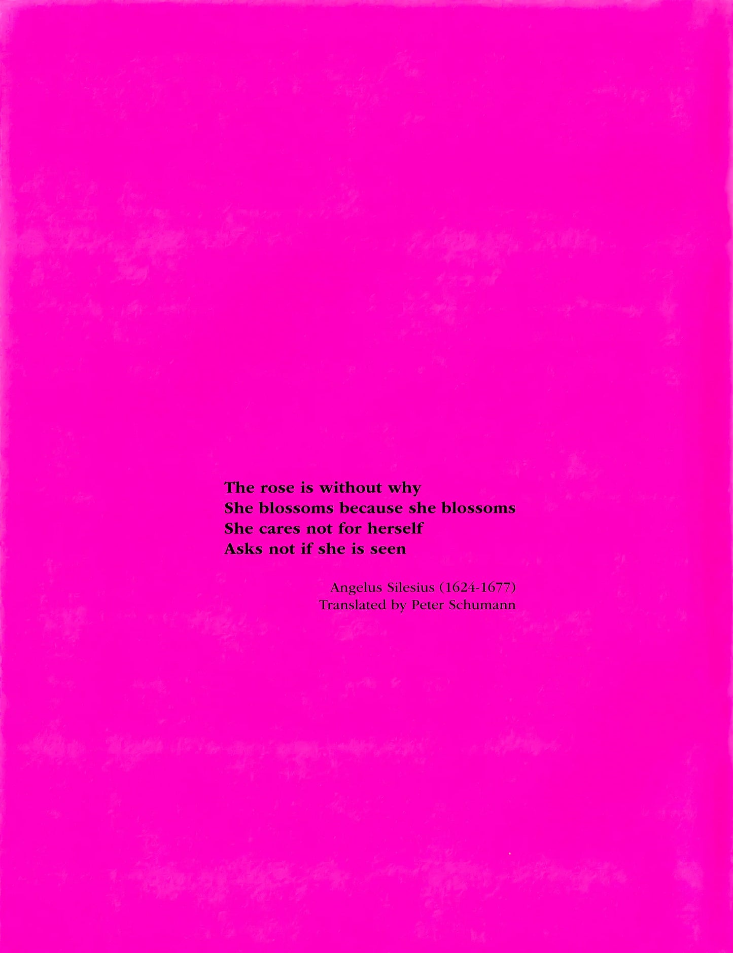 Bread + Puppet Press - Bread and Puppet Flower Coloring Book