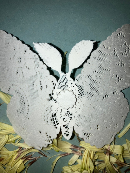 Tao Shirokoma - magnet -papillon de nuit (S) 2