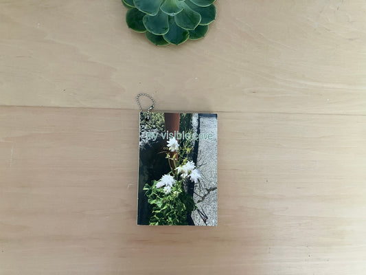September Poetry - 小内光 - my visible cove