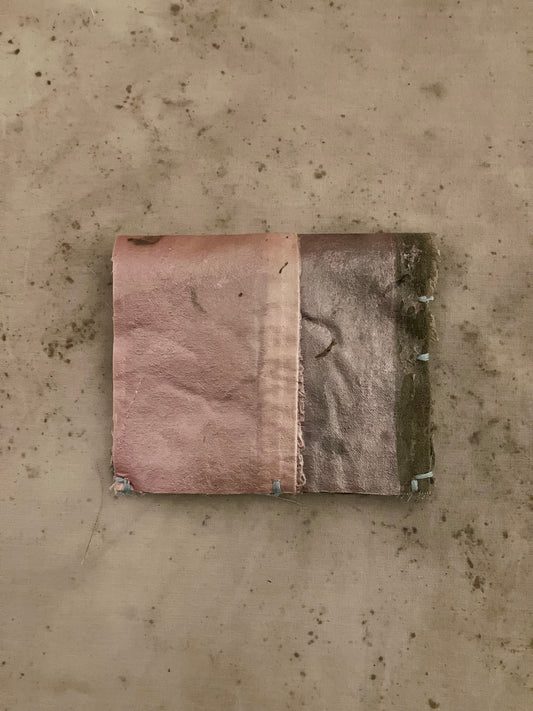 EIRINN HAYHOW - BIOMATERIAL WALLET 5