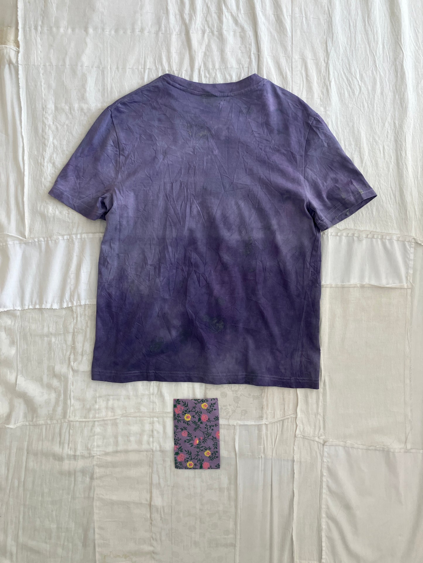 EIRINN HAYHOW - I dream of a garden healing top 11