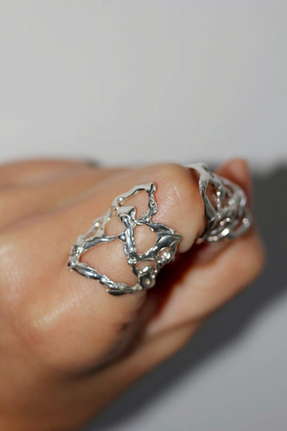 TALANTO - Web Ring 2