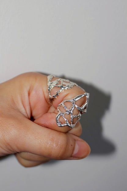 TALANTO - Web Ring 2