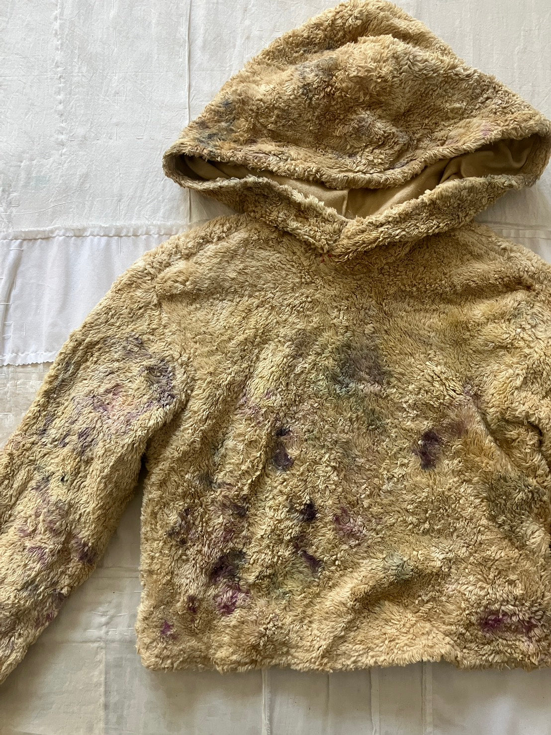 EIRINN HAYHOW - Earth Dust Grounding Healing Hoodie 2