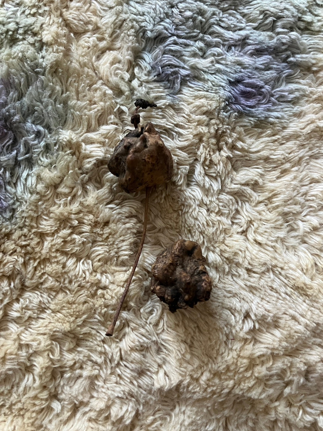 EIRINN HAYHOW - Earth Dust Grounding Healing Hoodie 1