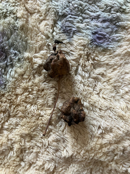 EIRINN HAYHOW - Earth Dust Grounding Healing Hoodie 1