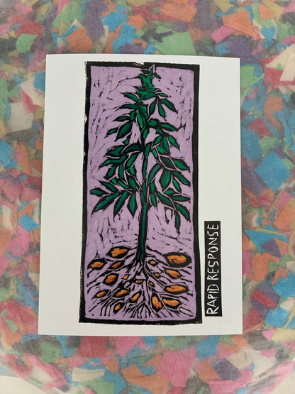 Bread + Puppet Press - Post card - Rapid Response